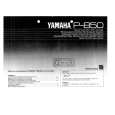 YAMAHA P-850 Owners Manual