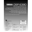 YAMAHA DSP-E390 Owners Manual