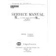 CAPETRONIC CDM892X Service Manual