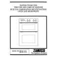 ZANUSSI FBi534/31B Owners Manual
