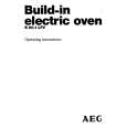 AEG B60.1LFV Owners Manual