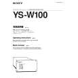 YS-W100 - Click Image to Close