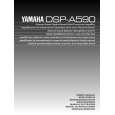 YAMAHA DSP-A590 Owners Manual