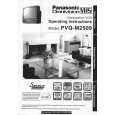 PANASONIC PVQM2509 Owners Manual