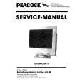 PEACOCK ENTRADA 19 Service Manual