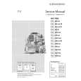 GRUNDIG T 51830 TEXT/TR Service Manual