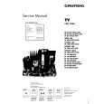 GRUNDIG SYDNEY 100 Service Manual