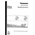 PANASONIC NV-DS28 Owners Manual
