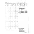 PANASONIC TX25GF10 Owners Manual