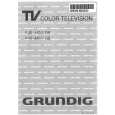 GRUNDIG P45-440/1GB Owners Manual
