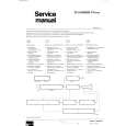 PHILIPS D12T100 Service Manual