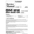 PIONEER GM20202 X1H/EW Service Manual