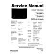 PANASONIC TX28DT2 Manual de Servicio