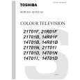 TOSHIBA 14R01F Instrukcja Serwisowa