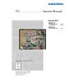 GRUNDIG 22.2 CHASSIS Service Manual