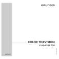 GRUNDIG P45-4101TOP Owners Manual