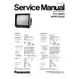 PANASONIC X701 Owners Manual