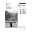 PANASONIC TC51P250 Owners Manual