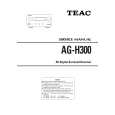 TEAC AG-H300 Service Manual