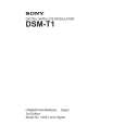 SONY DSM-T1 Manual de Usuario