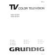 GRUNDIG M82-102IDTV Instrukcja Obsługi