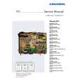 GRUNDIG 22.1 CHASSIS Service Manual