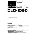 PIONEER CLD-52 Service Manual