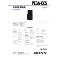 SONY PEGACC5 Instrukcja Serwisowa