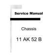 VESTEL 11AK52B Service Manual