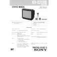 SONY AE-1B CHASSIS SCHULUNG Service Manual