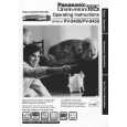 PANASONIC PV9450 Owners Manual