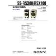 SONY SSRSX80 Instrukcja Serwisowa