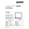 SANYO C25EG90B Service Manual